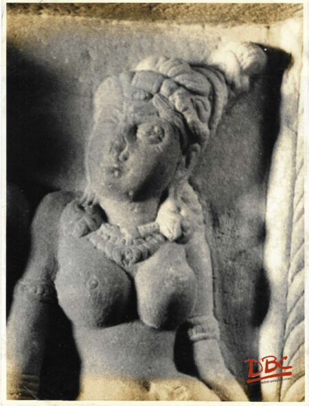 Nagarjun Konda : A Female Fig. - Close Up