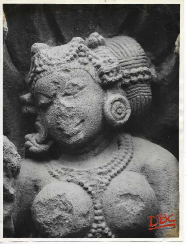 Bhubaneshwar : Head of Nagini