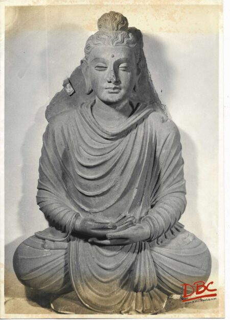 Indian Museum Seated Budha From Gandhara