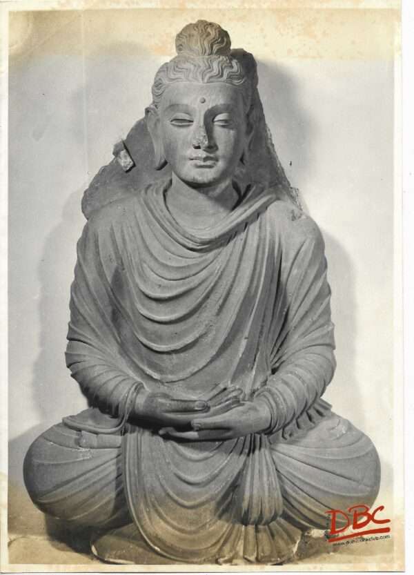 Indian Museum Seated Budha From Gandhara