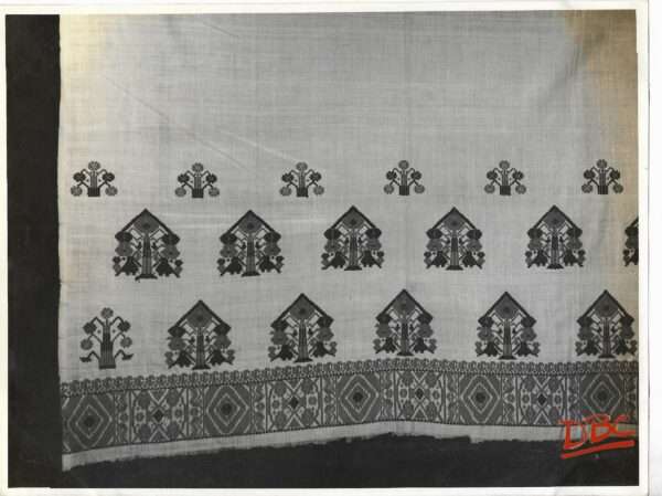 Mekhla From Assam