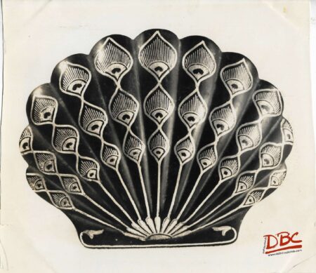 Box Shell