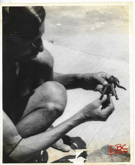 A Craftsman Making the Clay Fig. of An Elephant