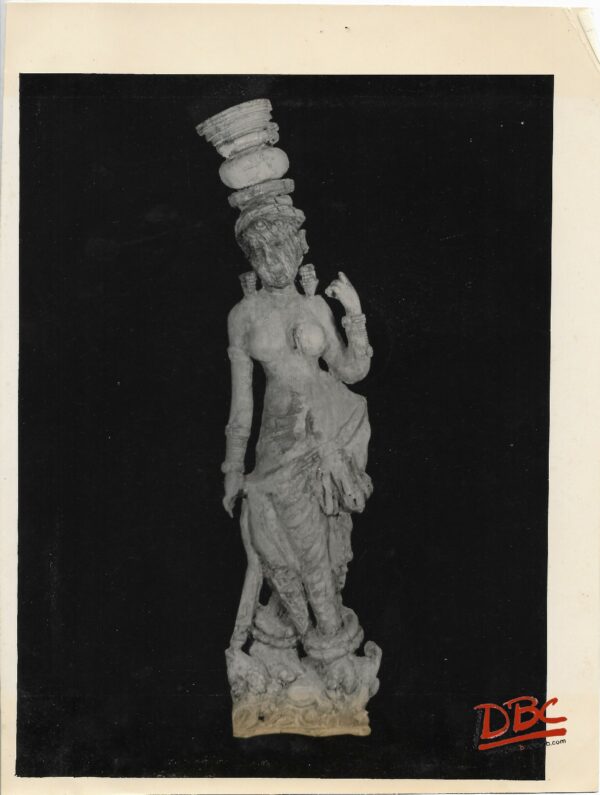 Female Figure