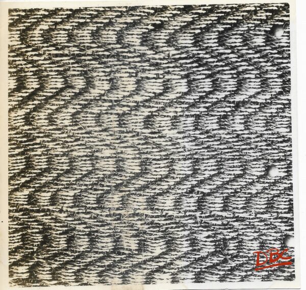 A Coloured Design on a Coir - Matting