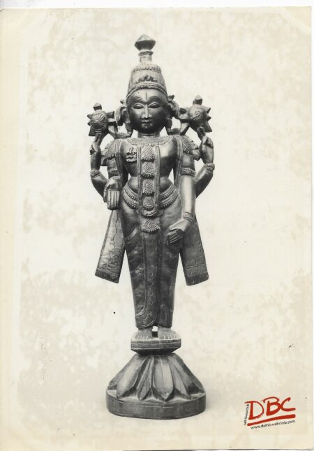 Lord Vishnu Standing on a Lotus - Wood