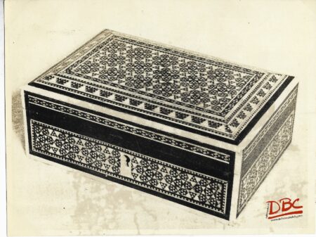 Tortoise - Shell Work on a Box