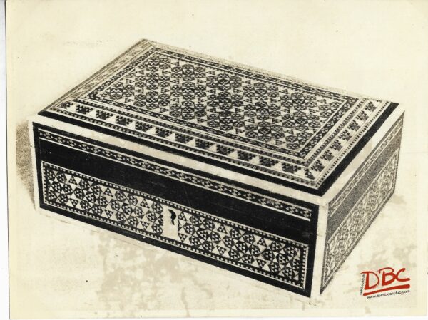 Tortoise - Shell Work on a Box