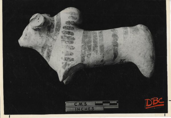 Kulli Mehi : Terracotta Animal Figure