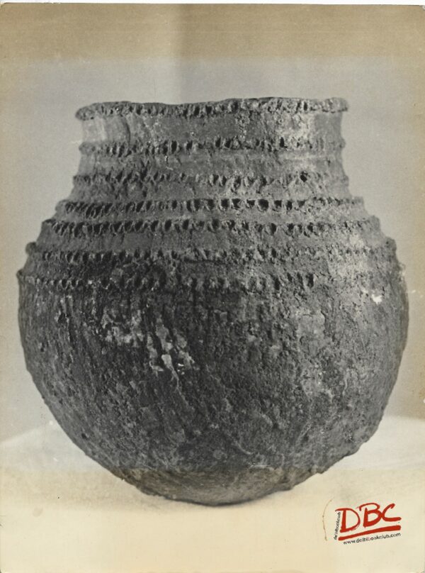 Hatit Hand Made Earthen Cooking Pot Manufactured by Nokte Naga Women Of Hakam Village