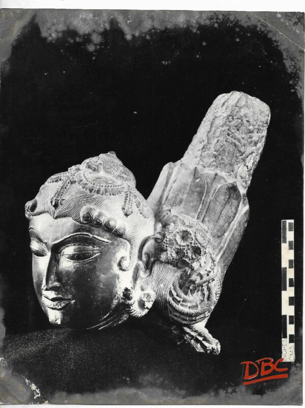Ajmer Musuem : Female Figure