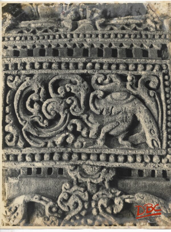 Bhubaneshwar : Swaranj Areshwar Temple Details Close Up of a Bird