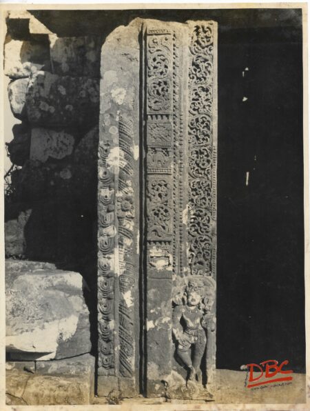 Bhubaneshwar : Lakshmaneshwar Temple Door Jamb