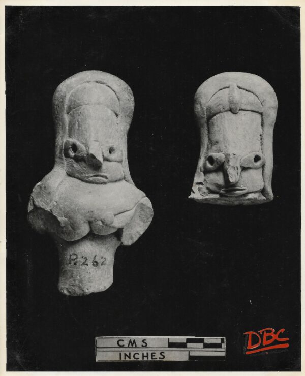 Zola Vallery : Terracotta Figs.