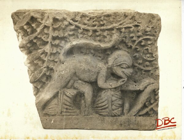 Terracotta (Brick) Bengal