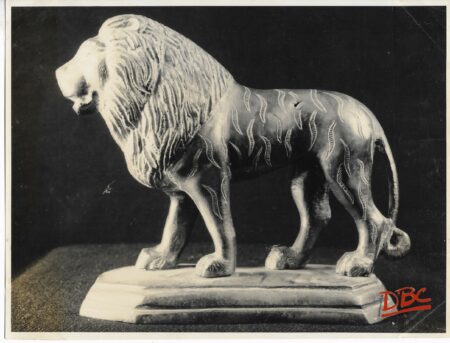 African Lion