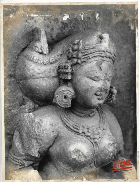 Hirapur Bhubaneshwar : 64 Yogini Temple : Close up of a Yogini