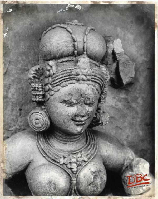 Hirapur Bhubaneshwar : 64 Yogini Close up of a Yogini