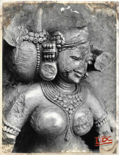 Hirapur Bhubaneshwar :  Close up of a Yogini