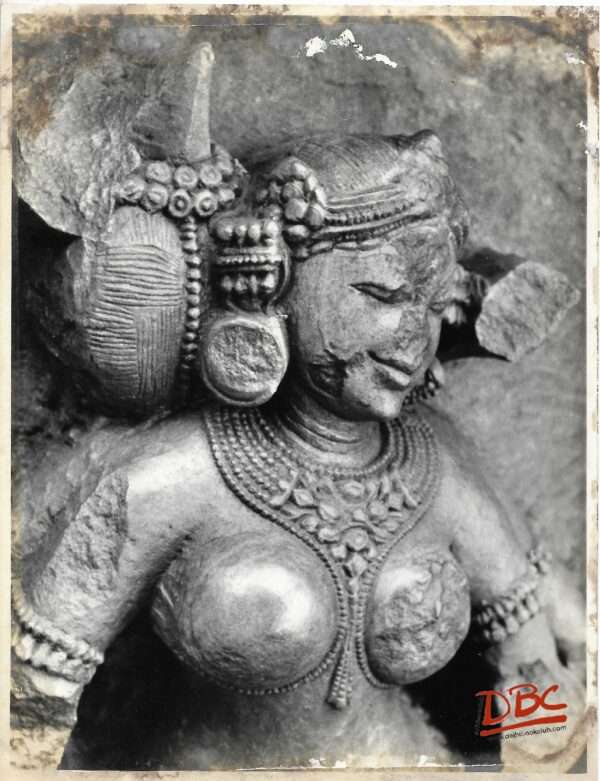 Hirapur Bhubaneshwar :  Close up of a Yogini