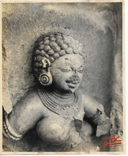 Hirapur Bhubaneshwar :  64 Yogini Temple
