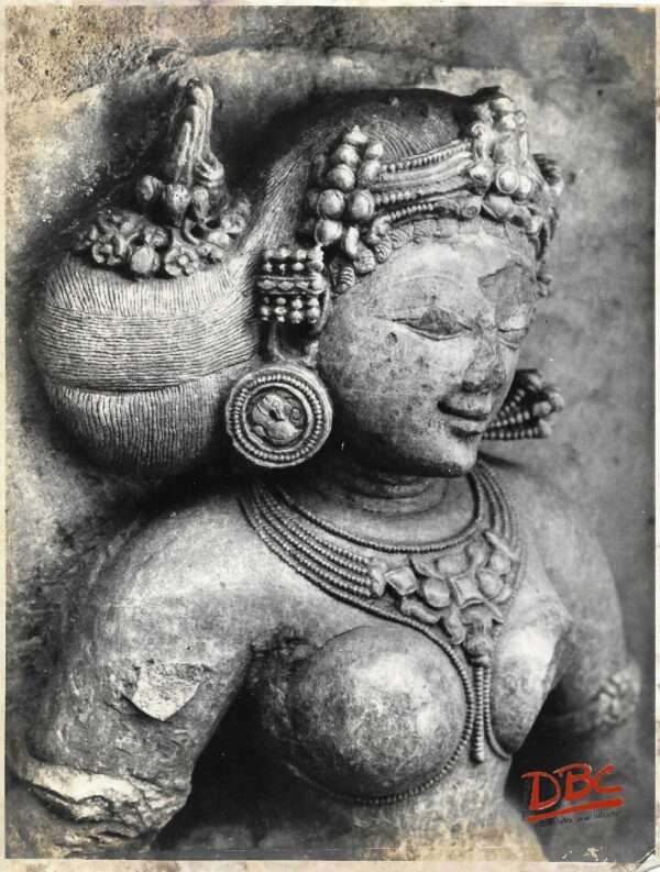 Hirapur (Bhubaneshwar): 64 Yogini Temple