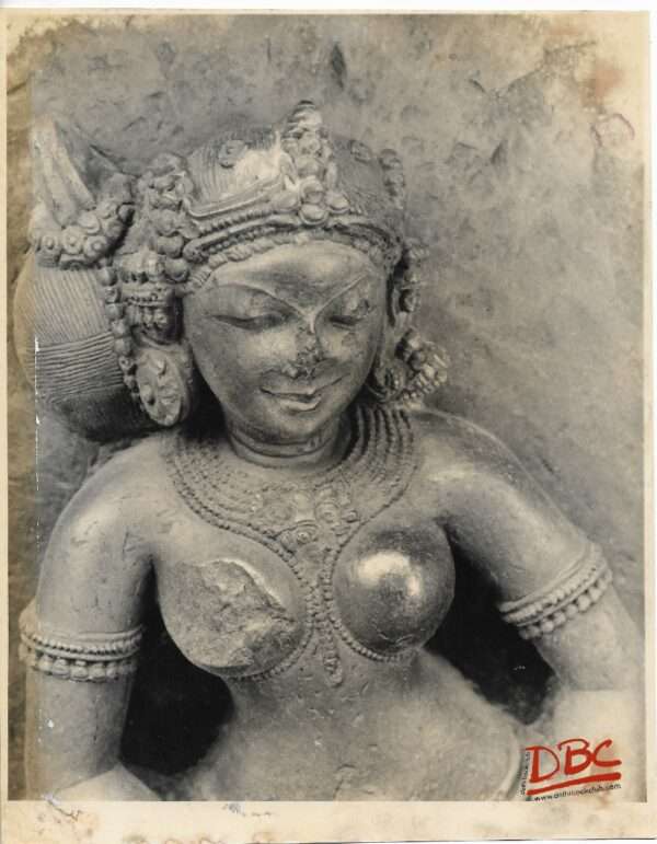 Hirapur (Bhubaneshwar): 64 Yogini Close up of a Yogini