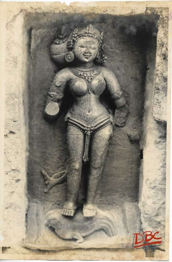 Hirapur (Bhubaneshwar): 64 Yogini Temple Image No. 43