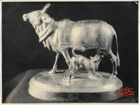 Cow & Calf