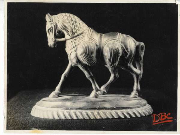 Horse Decorated