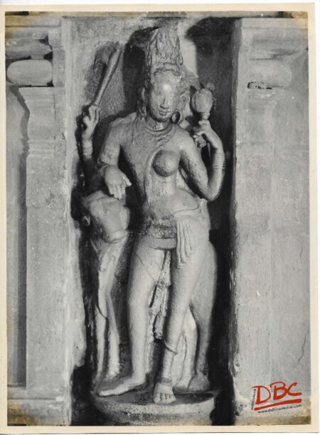 Kumbhokonam Nageshwami Temple : Astanding Image of Ardhanariswara