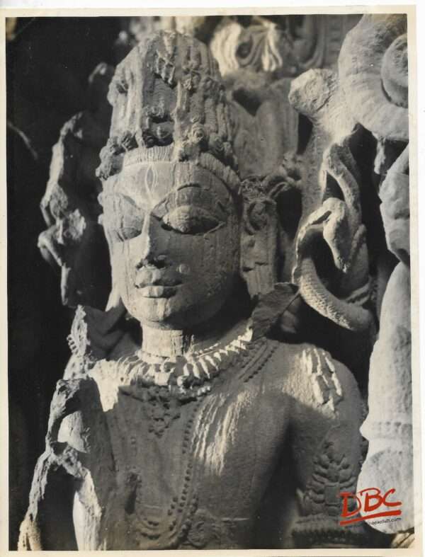 Pali - Baliaspur : Siva Temple - Close Up of Vishnu