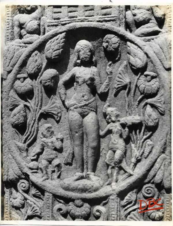 Sanchi Stupa - II : Lakshmi on a Pillar