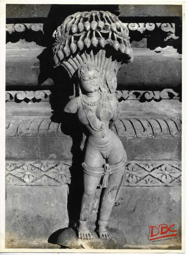Markanda : A Female Figure Under a Mango Tree