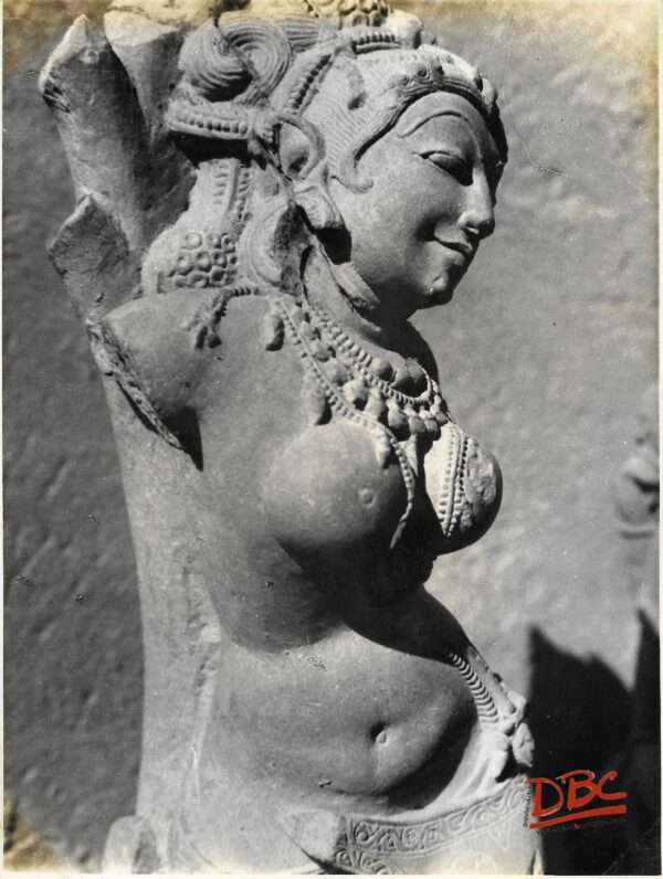 Gwailor Close up of a Female Torso
