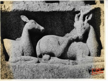 Mahabalipuram :Arjuna's Penances Close up of Deer