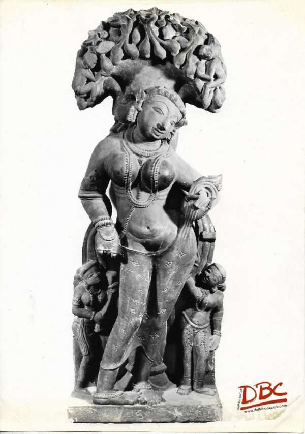 Indian Museum : Salabhanjika From Khajuraho