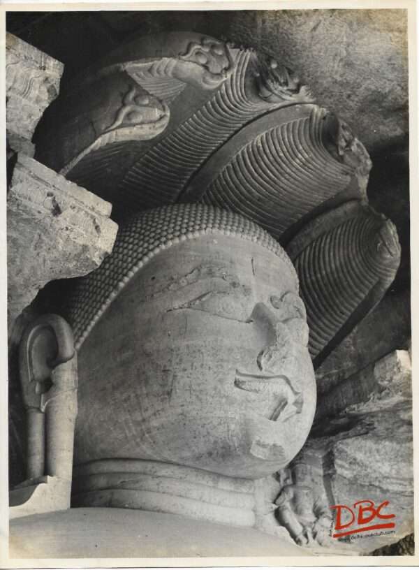 Gwalior Marimare Cave : Head of a Jain Image with Serpent Hood