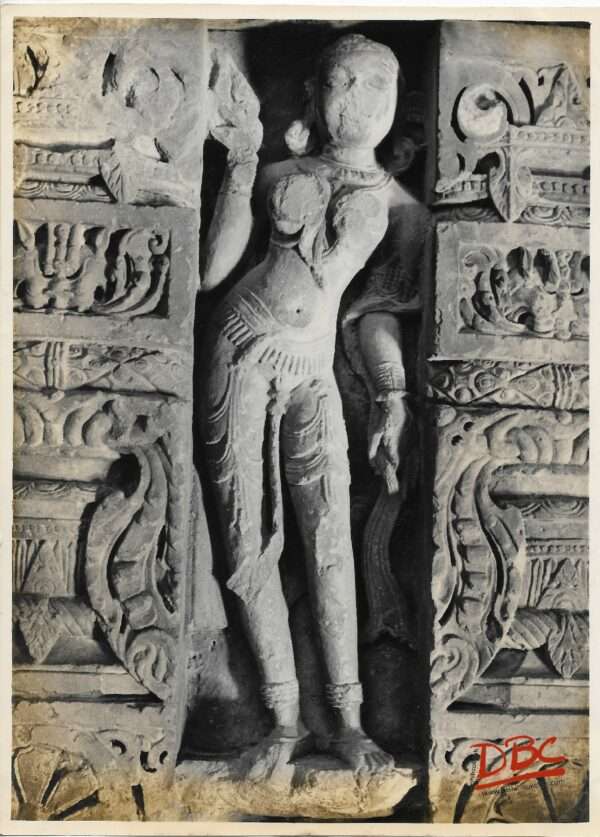 Udaipur : Asculpture on the Temple