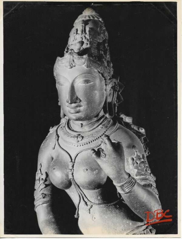 Tanjor Art Gallery : Bust of Parvati