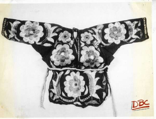 Textile : Embroidered Choli