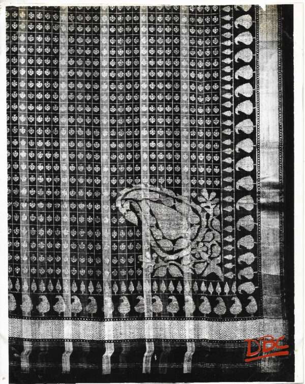 Embroidered Shawl