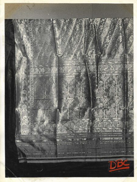 Tex (Brocade Sari)