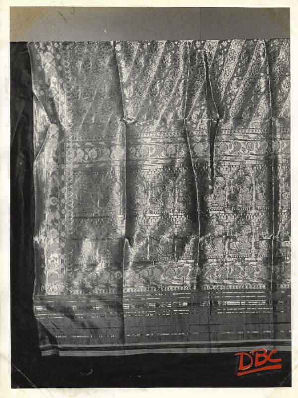 Tex (Brocade Sari)