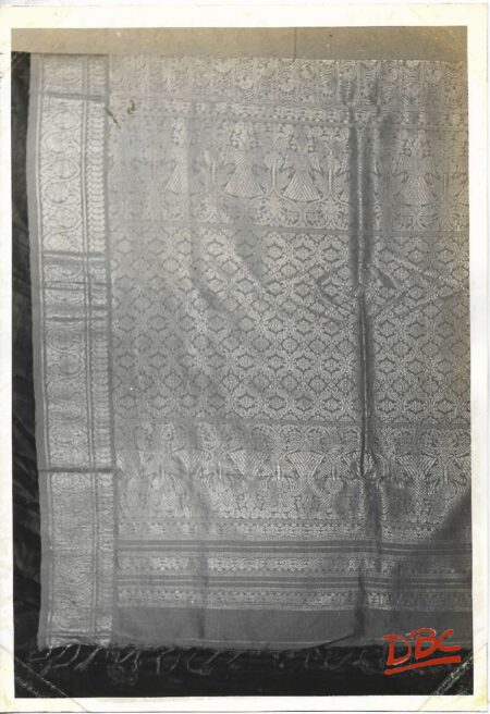 Tex (Bari Sari)