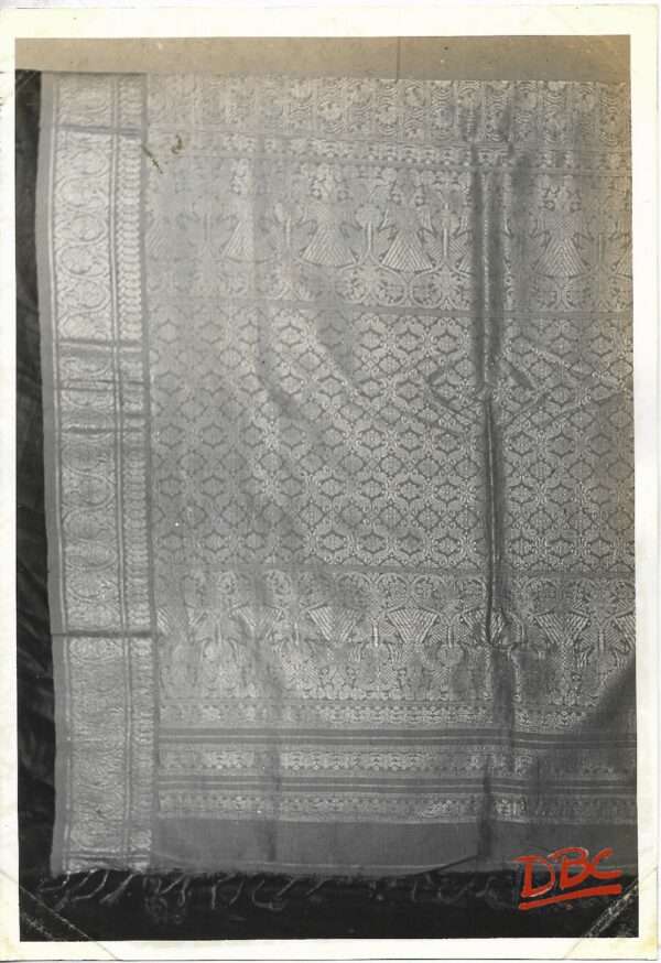 Tex (Bari Sari)