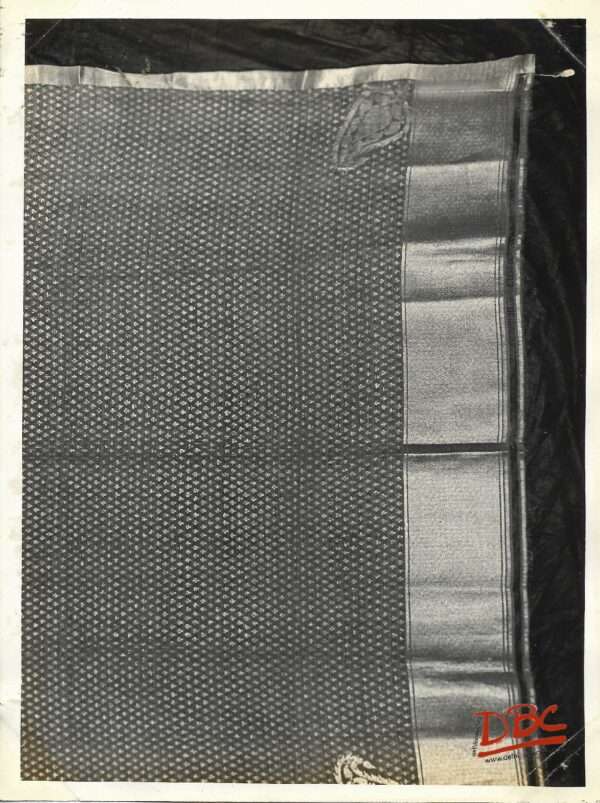 Tex (Chanderi Dupatta) M.P.