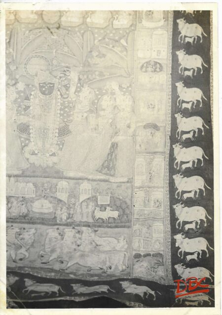 Tex (Pichwari Painted) Rajasthan