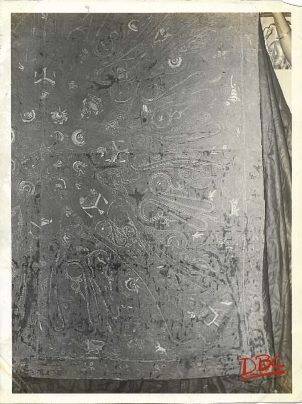Tex (Cotton Embroidered Shawl Square)
