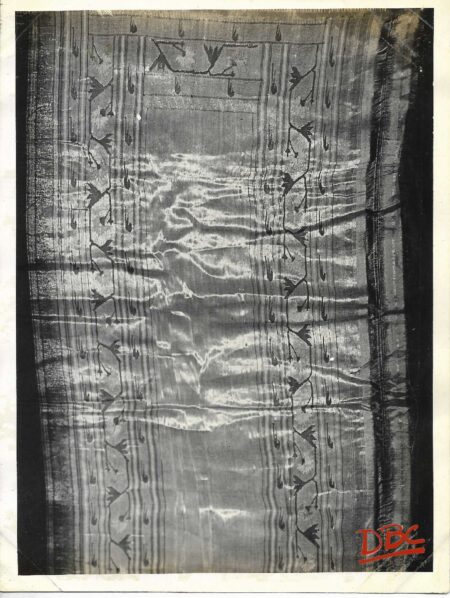 Tex (Cotton Sari)